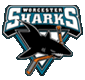 Visit the Sharks website.