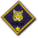 Bobcat Patch
